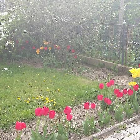 Alom Kucko Apartman Zalaegerszeg Exteriör bild