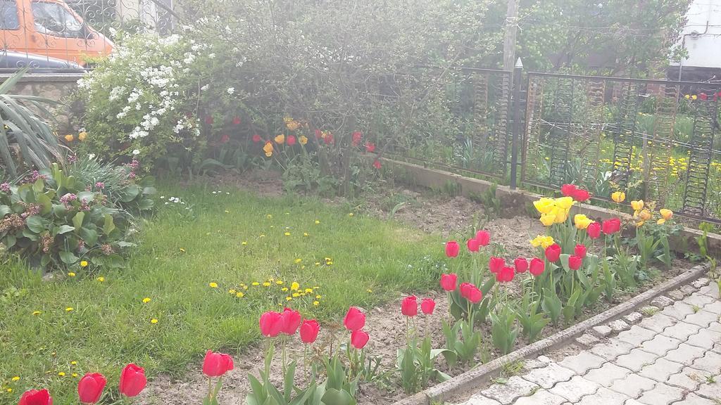 Alom Kucko Apartman Zalaegerszeg Exteriör bild