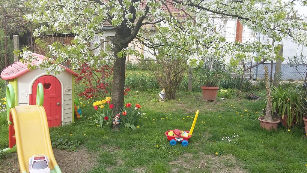 Alom Kucko Apartman Zalaegerszeg Exteriör bild