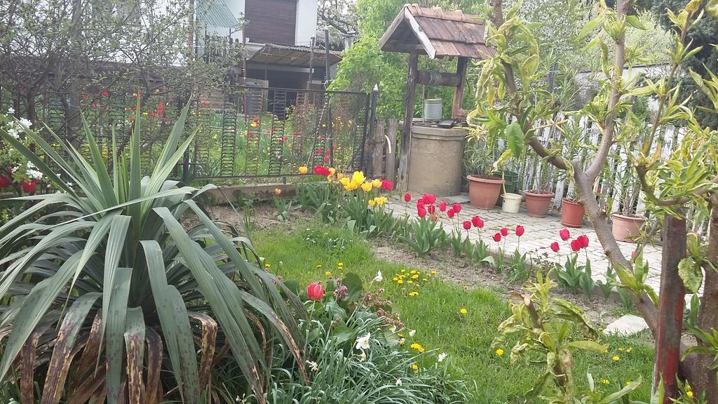 Alom Kucko Apartman Zalaegerszeg Exteriör bild